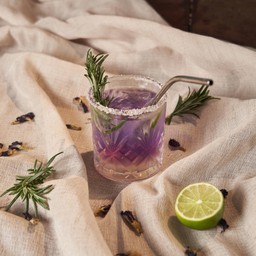 Rosemary Cocktail