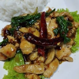 ข้าวกะเพราพริกแห้งไก่