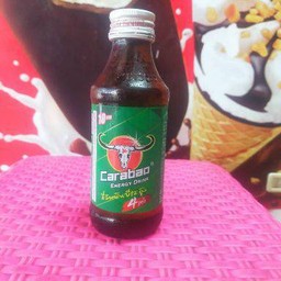 คาราบาว