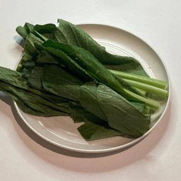 กวางตุ้ง