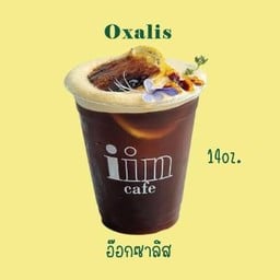 Oxalis  (14oz)
