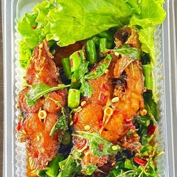 ผัดกระเพราปลานิลทอด(กับข้าว)