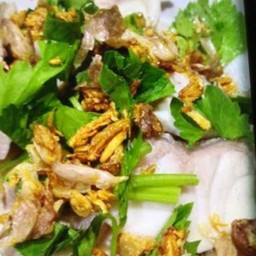 ปลาเก๋าลวก