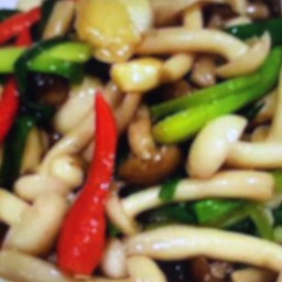 ผัดเห็ดรวมน้ำมันหอย