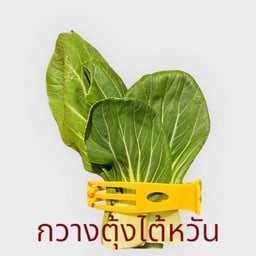 2. กวางตุ้งไต้หวัน
