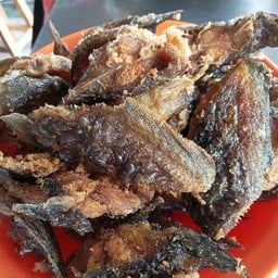 ผัดปลาดุกทอดกรอบ!ตามสั่ง