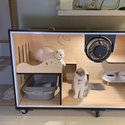 Home for cats