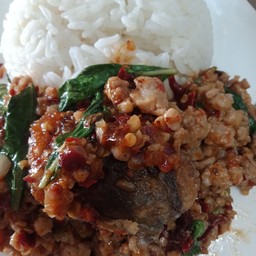 ข้าวกะเพราหมูสับไข่เยี่ยวม้า