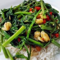 ผัดผักบุ้ง