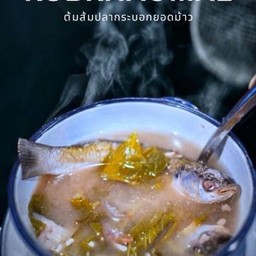ต้มส้มปลากระบอกยอดม้าว