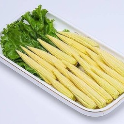 ข้าวโพดอ่อน