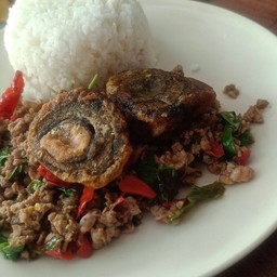 ข้าวราดผัดกะเพราไข่เยี่ยวม้าหมูสับ