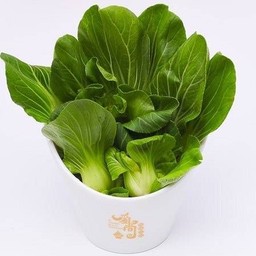 ฮ่องเต้