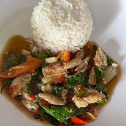 กะเพราราดข้าว