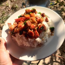 ข้าวกะเพราหมูกรอบ