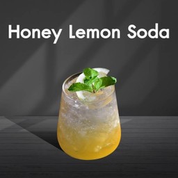 Honey Lemon Soda