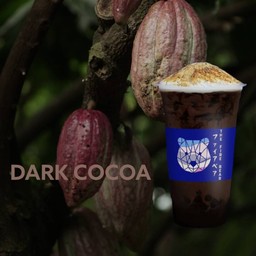 ดาร์กโกโก้