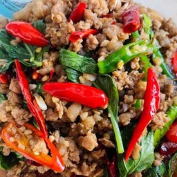 ข้าวราดเนื้อสับผัดใบโหระพาสองพริก