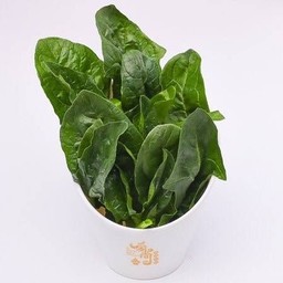 ปวยเล้ง