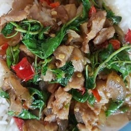 กับข้าว ผัดกระเพราหมู