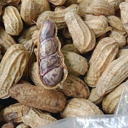 ถั่วเม็ดใหญ่หวานนุ่ม