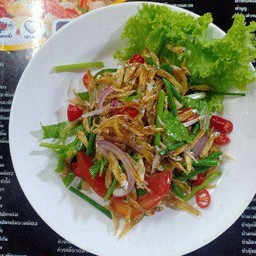 ปลาจิงจังเป็นกับ