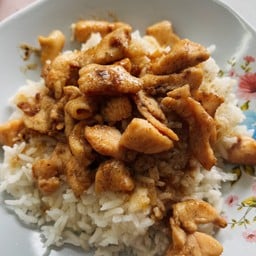 ข้าวราดทอดกระเทียม