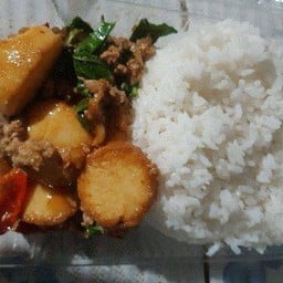 ผัดกะเพราหมูสับเต้าหู้ไข่ราดข้าว