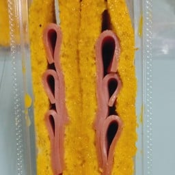 แซนวิชโบโราณโบโลน่า