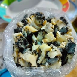 หอยเชอรี่