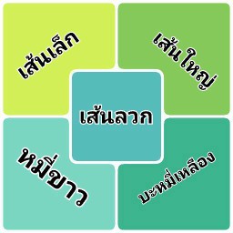 เส้นลวก
