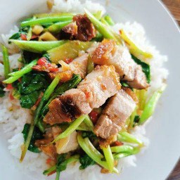 ข้าวคะน้าหมูกรอบ