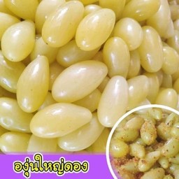 จี๊ดจ๊าด มะม่วงน้ำปลาหวาน @ตลาดพลู