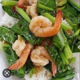 ผัดคะน้า ใส่กุ้ง