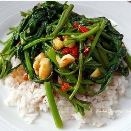 ผัดผักบุ้ง ราดข้าว