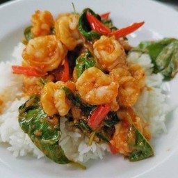 ผัดกระเพรากุ้ง ราดข้าว