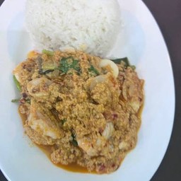 ข้าวราดผัดผงกระหรี่ หมู/ไก่