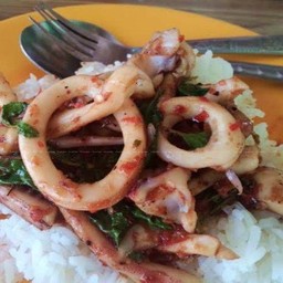 กระเพราปลาหมึก ราดข้าว