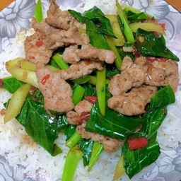 ผัดคะน้า หมูชิ้น ราดข้าว