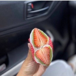 ไดฟูกุสตอเบอรี่ไซร์ XL3  สตอเบอรี่ใหญ่มาก
