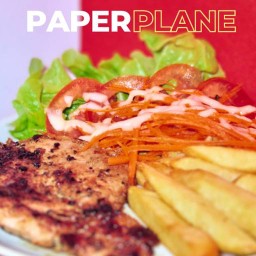Paper Plane