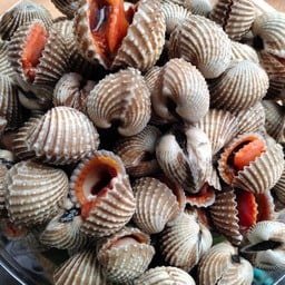 เห็นหอยหนูมั๊ย ดุสิต