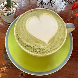 มัทฉะลาเต้ร้อน