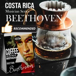 กาแฟดริปเย็น Costa Rica [Beethoven Musician Serie]