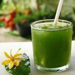 GREEN ตามสั่ง