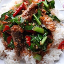 คะน้าปลาประป๋องราดข้าว