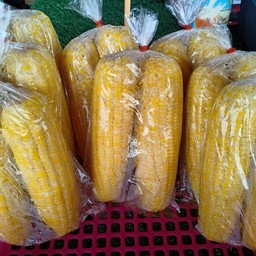 ข้าวโพดต้ม