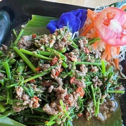 ผัดผักชีลาวเนื้อ