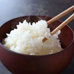 ข้าวญี่ปุ่น