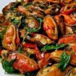 กระเพราหอยแมลงภู่ ราดข้าว